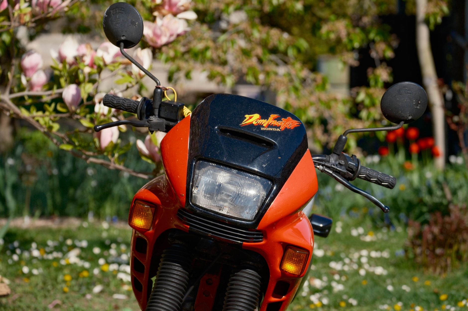 motobineuse Honda jardin